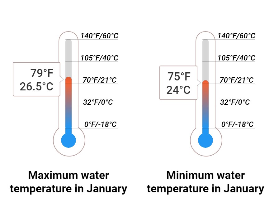 Average Sea temperature